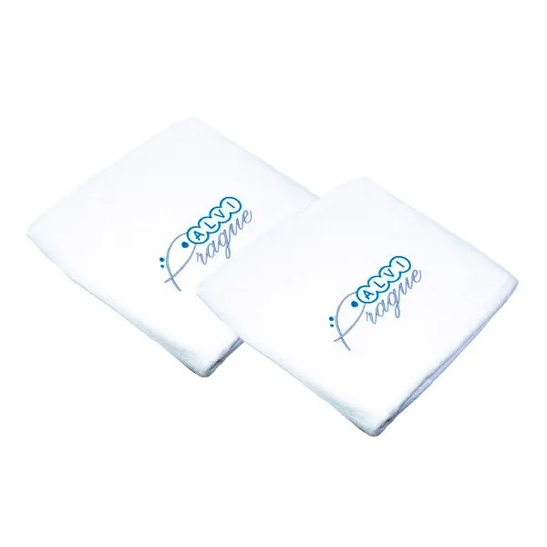 Plaid double face in spugna con logo Alvi Prague